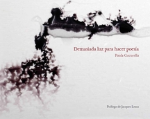 Cover: Demasiada Luz Para Hacer Poesía by Paula cucurella